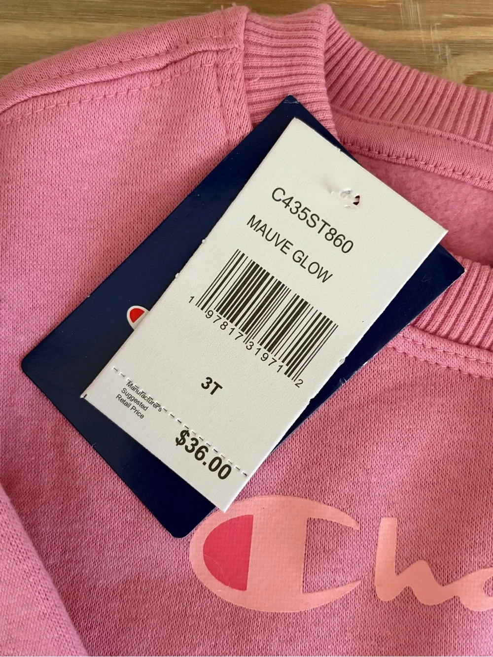 Champion Pink Girls' Sweatshirt & Joggers Set 💗🆕